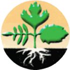 логотип: Ягодное Плюс - производитель Рекицен-РД
