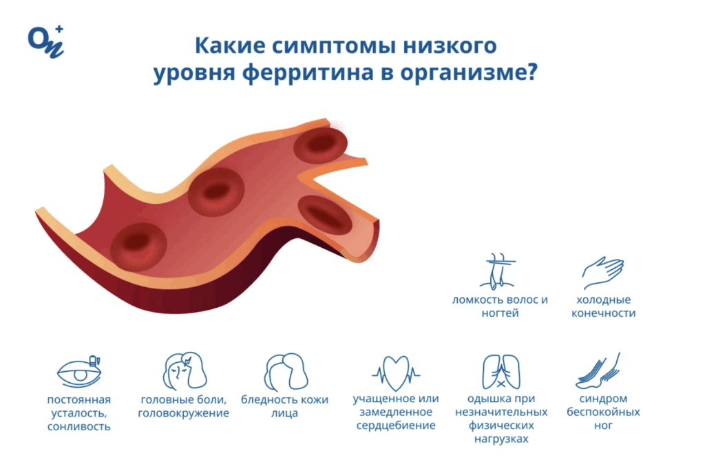 Фото: Три анализа здоровья: почему ферритин, витамины B и D — лучшие индикаторы вашего организма Три анализа здоровья: почему ферритин, витамины B и D — лучшие индикаторы вашего организма