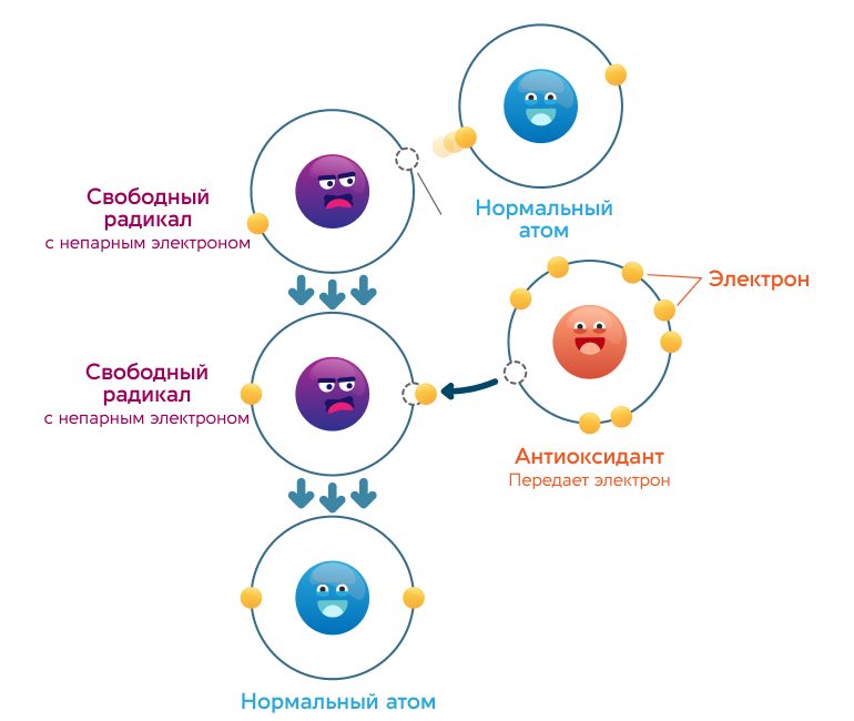 Фото: Дигидрокверцетин эталон антиоксидантной защиты антиоксидант