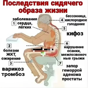 Фото: Накладка Селиванова: Невидимая защита вашего позвоночника и комфорта Накладка Селиванова: Невидимая защита вашего позвоночника и комфорта