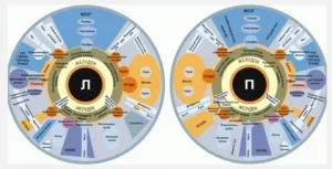 Фото: Ваше здоровье написано в глазах. Ваше здоровье написано в глазах.