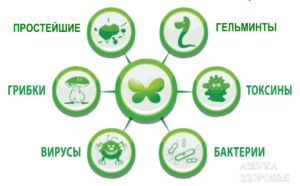 Фото: Природный щит против паразитов: Метовит и Артромакс Плюс антипаразитарный комплекс